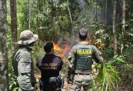 MPF investiga venda de mercúrio usado por garimpeiros ilegais pela internet