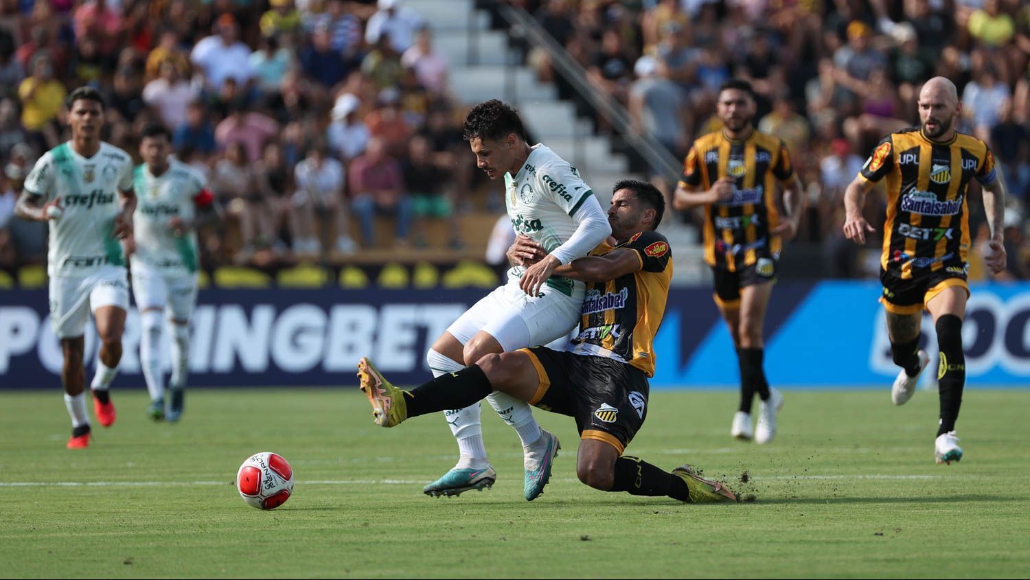 Raphael Veiga marcou o gol do Palmeiras no empate com o Novorizontino