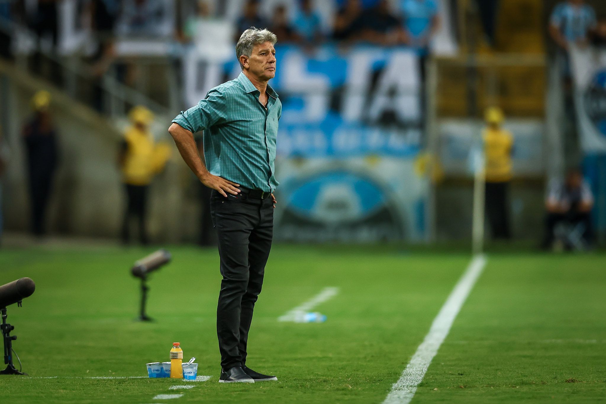 Renato Portaluppi