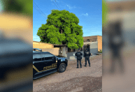PF faz operação contra tráfico internacional de drogas do Paraguai para Brasil