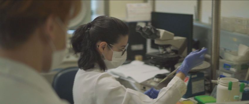 Não há causa específica para as doenças autoimunes, mas a predisposição genética geralmente vem associada a vários fatores que funcionariam como gatilho para desencadear as doenças./ Reprodução/ CNN Brasil