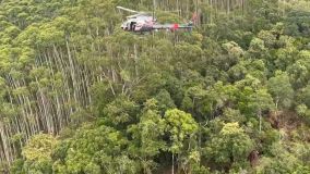 Policiais militares do Águia fazem rapel para chegar ao local onde helicóptero caiu em SP