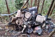 Queda de helicóptero em SP: aeronave bateu em árvore, diz investigação