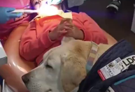 Vídeo: cachorro “assistente” de dentista ajuda a acalmar crianças em consultório