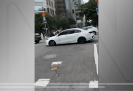 Vídeo: Mulher sobe em capô de carro para impedir roubo de cão nos EUA