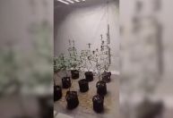 Polícia peruana encontra estufa de maconha escondida atrás de geladeira