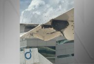 Abelhas cercam avião e atrasam desembarque de passageiros em Natal