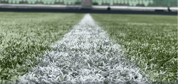 Grama do Allianz Parque, estádio do Palmeiras