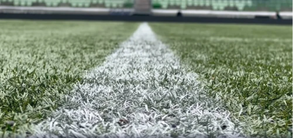 Grama do Allianz Parque, estádio do Palmeiras