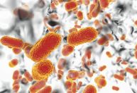 Novo antibiótico usa método inovador para matar superbactéria
