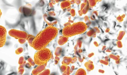Novo antibiótico usa método inovador para matar superbactéria