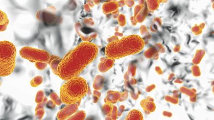Ilustração da bactéria Acinetobacter baumannii