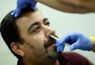 Covid-19: spray nasal nacional é 100% eficaz em ratos, diz estudo