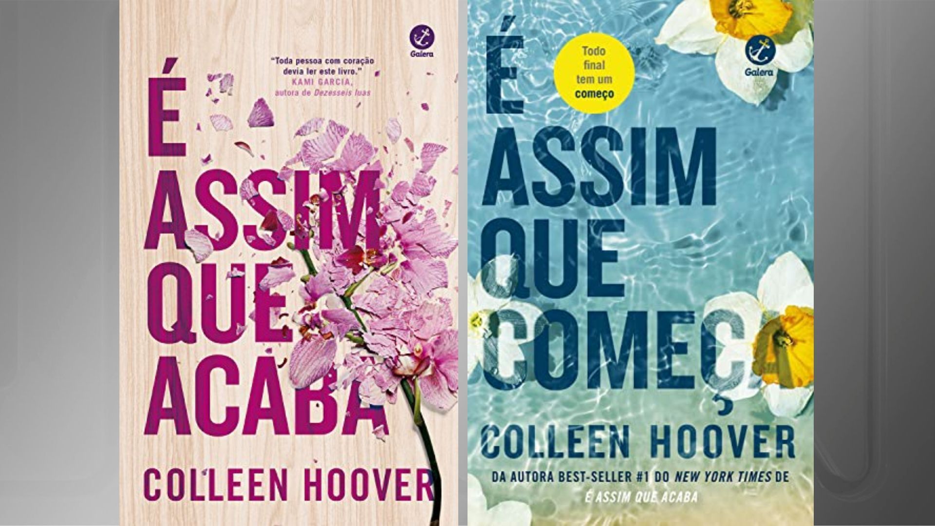 Série de livros de maior sucesso de Colleen Hoover / Divulgação/Galera Record
