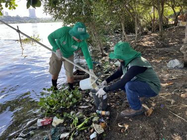 Parâmetros analisados estão dentro dos índices históricos encontrados no Complexo Estuarino Lagunar Mundaú-Manguaba (CELMM) estão dentro dos índices históricos.
