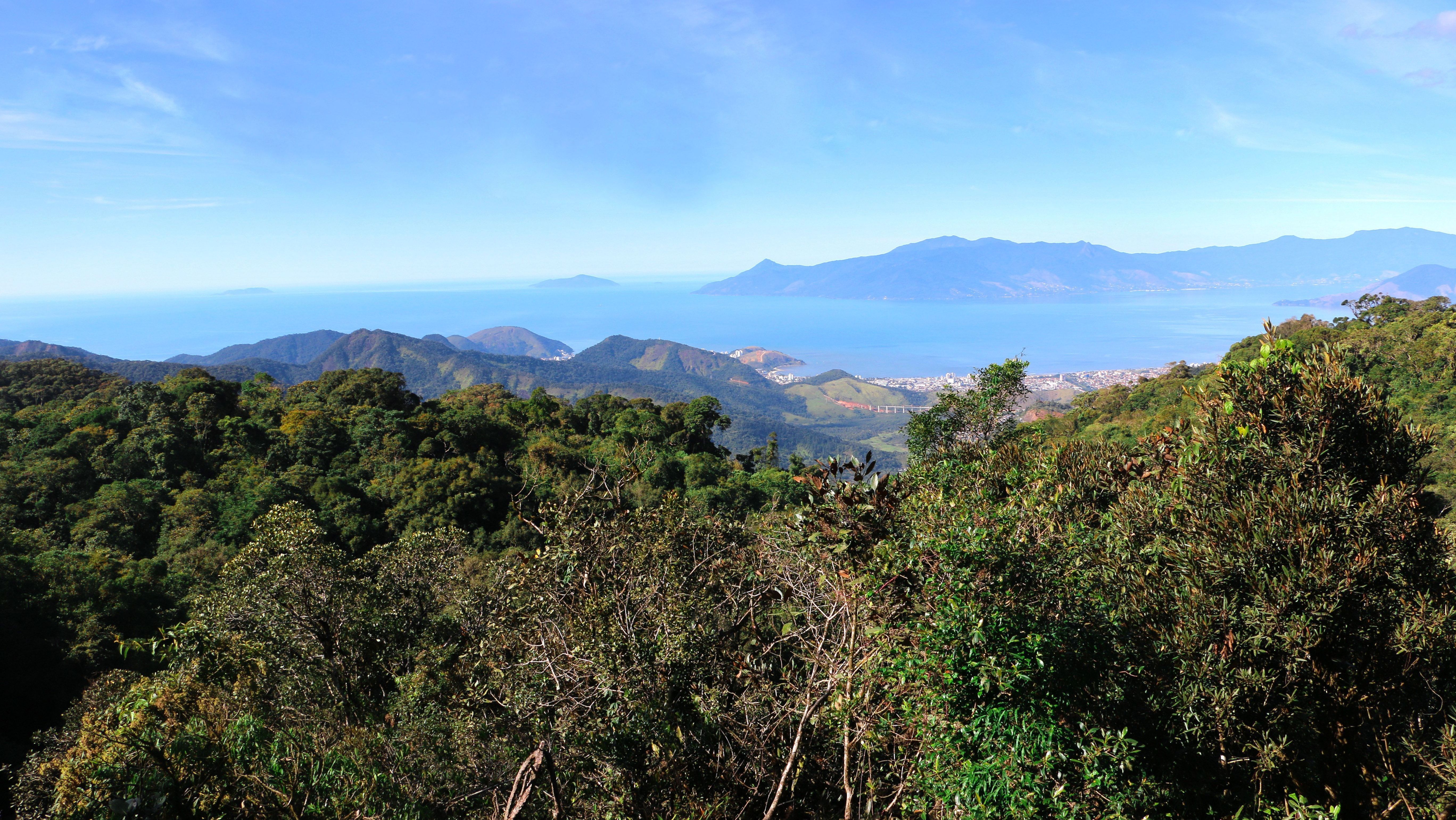 Área da Serra do Mar em Caraguatatuba, no litoral norte de São Paulo
