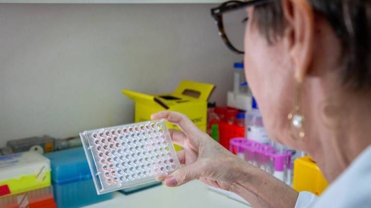Instituto Butantan desenvolveu proteína para diagnosticar leptospirose mais cedo