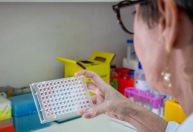 Leptospirose: Butantan desenvolve proteína que permite detectar a doença cedo