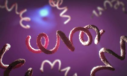 DNA antigo oferece novas evidências de teoria sobre origem da sífilis