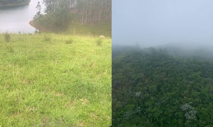 Helicóptero pousou na mata antes de retomar voo e sumir rumo ao litoral de SP; veja mensagens de passageira