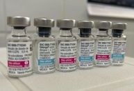 Vacina contra dengue começará a ser aplicada em 11 cidades paulistas; veja quais