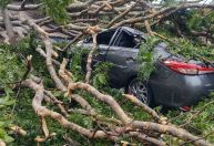 Homem morre ao ser atingido por árvore durante forte chuva em SP