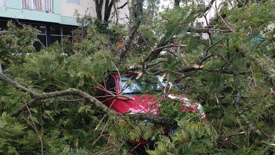 Temporal causa danos em Estrela e outras cidades no Rio Grande do Sul