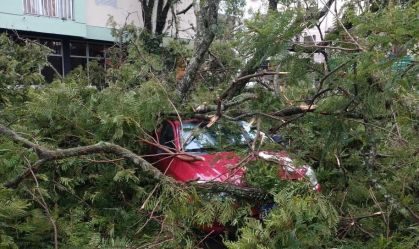 Temporal causa danos em Estrela e outras cidades no Rio Grande do Sul