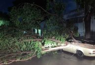 Chuvas, raios e ventania: Belo Horizonte está sob alerta da defesa civil