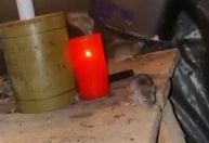 "Ecos da Primeira Guerra": ratos infestam trincheiras na Ucrânia