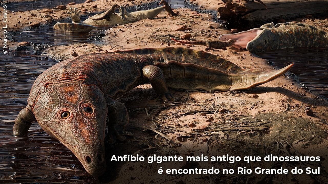 De acordo com os paleontólogos, o bicho viveu há, aproximadamente, 250 milhões de anos / Márcio Castro