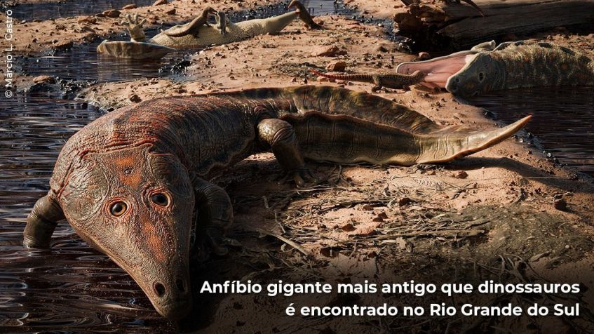 De acordo com os paleontólogos, o bicho viveu há, aproximadamente, 250 milhões de anos / Márcio Castro
