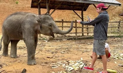Elefante vítima de maus-tratos é resgatado e levado para santuário ecológico na Ásia