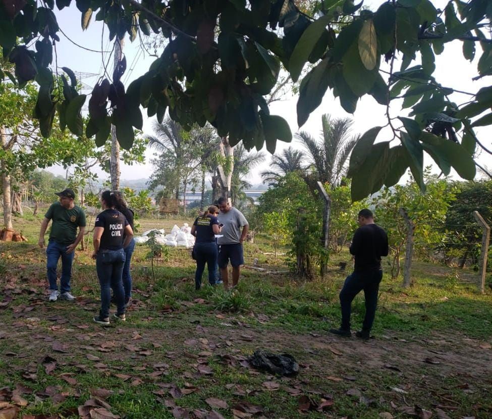 Resgate de pássaros realizado pela Delegacia Especializada em Crimes contra o Meio Ambiente e Urbanismo (Dema)