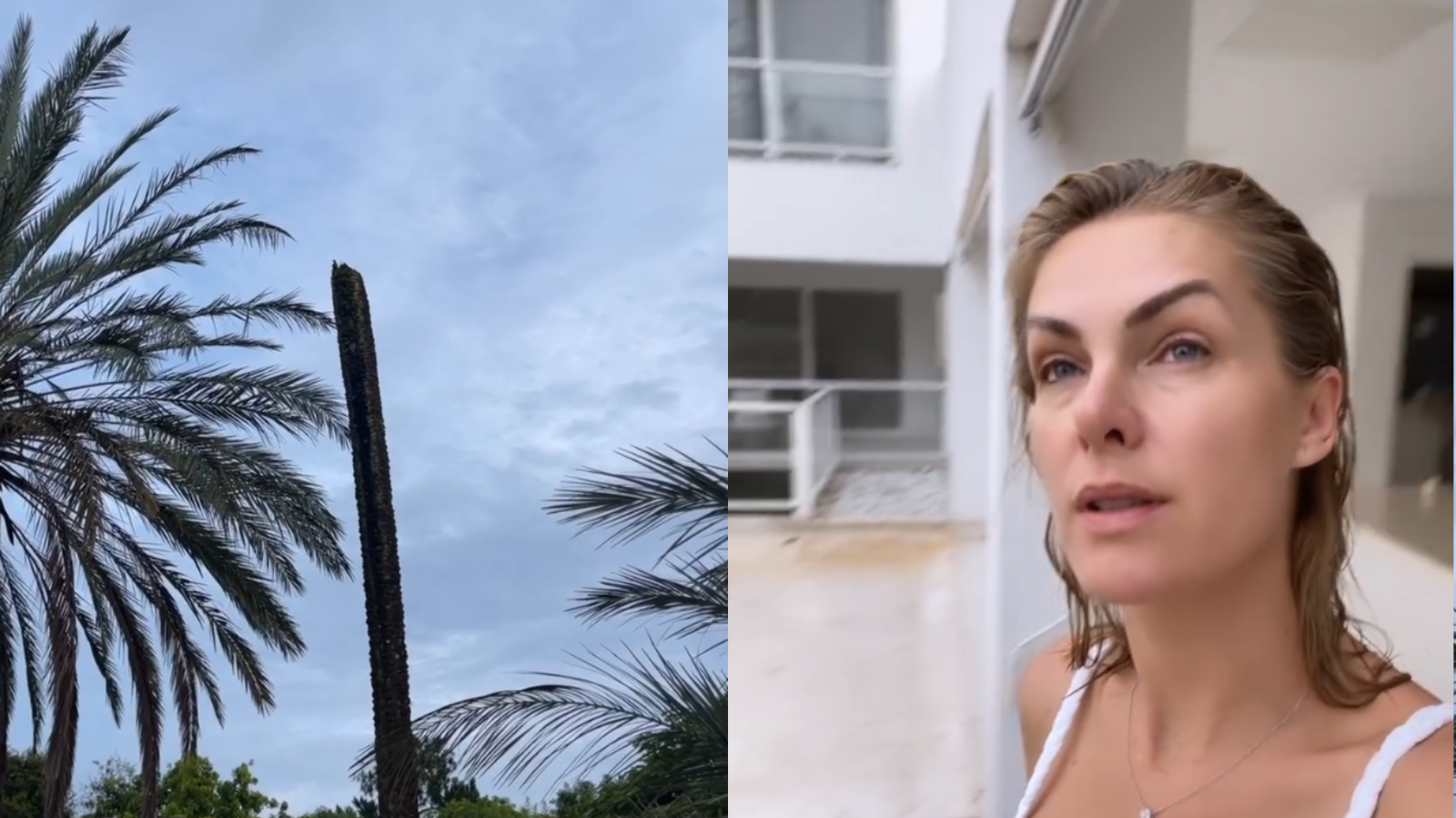 Apresentadora Ana Hickmann mostrou árvore caída nos stories do Instagram
