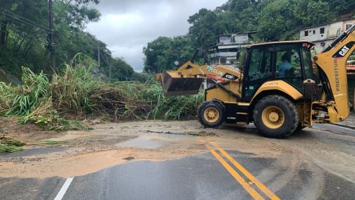 Árvore caída após temporal em Niterói (RJ)