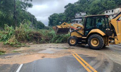 Árvore caída após temporal em Niterói (RJ)
