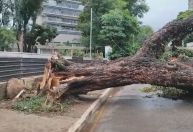 Novos temporais são esperados em São Paulo entre quinta e sexta