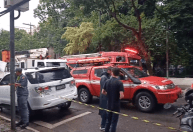 Temporal causa morte, alagamentos e mais quedas de árvores em São Paulo
