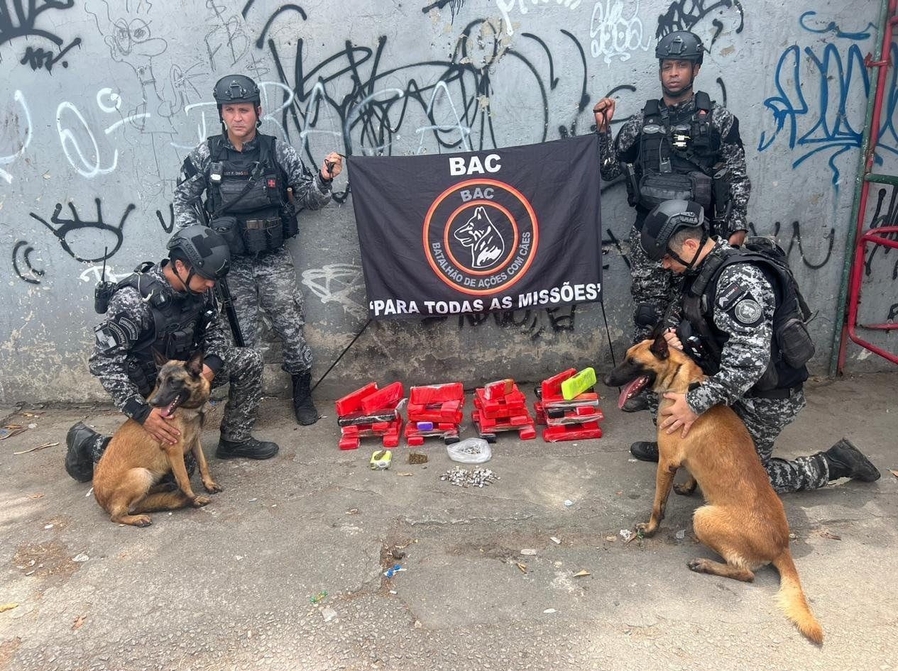 cidaedeus1a
