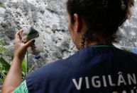 Defesas Civis de MG, MS, PR e SP dão início a Operação Integrada Interestadual de combate à Dengue nesta terça
