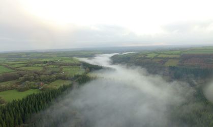 Fósseis de 565 milhões de anos revelam segredos da evolução da vida na Terra