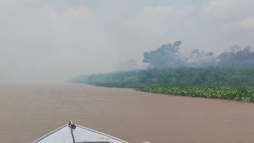 incendiopantanal