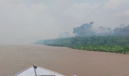 incendiopantanal
