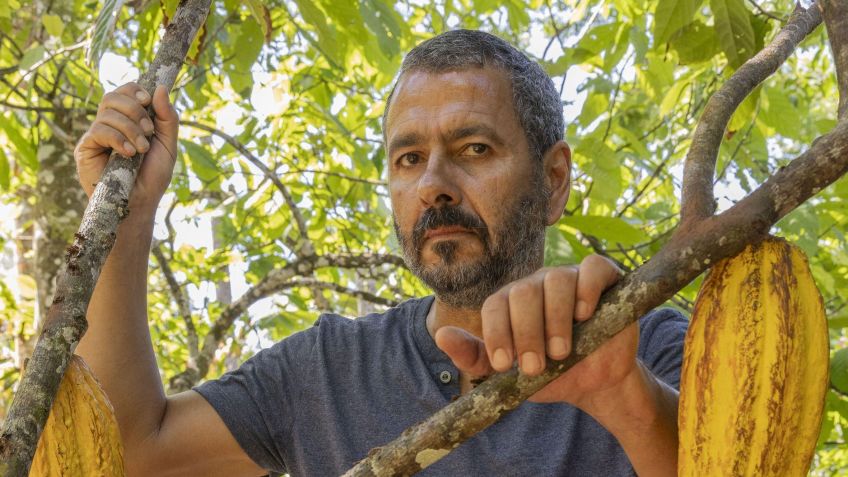 Na segunda fase da novela, José Inocêncio é vivido por Marcos Palmeira / Fábio Rocha/TV Globo