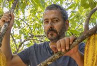 "Renascer": veja 4 acontecimentos do último capítulo do remake
