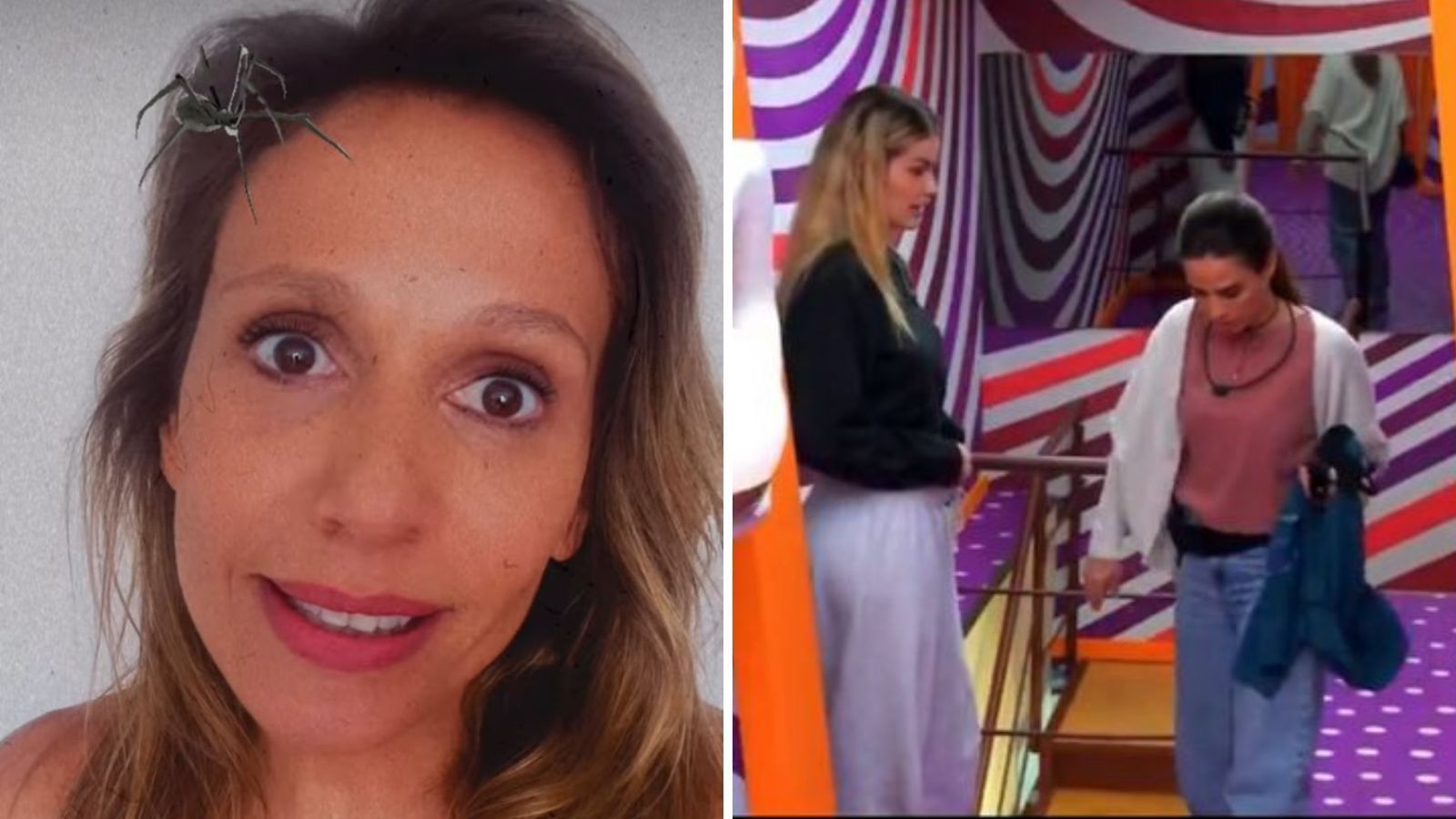 Luisa Mell, Yasmin Brunet e Wanessa Camargo