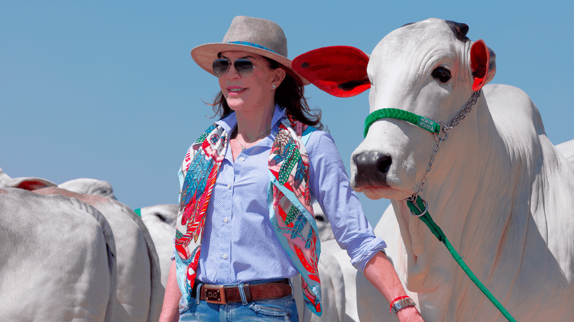 monicamarchett_1920x1080