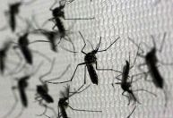 Aquecimento global e El Niño impulsionam casos de dengue e Brasil enfrenta alta da doença