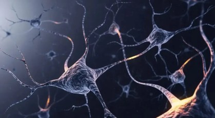 Ilustração de uma cadeia de neurônios